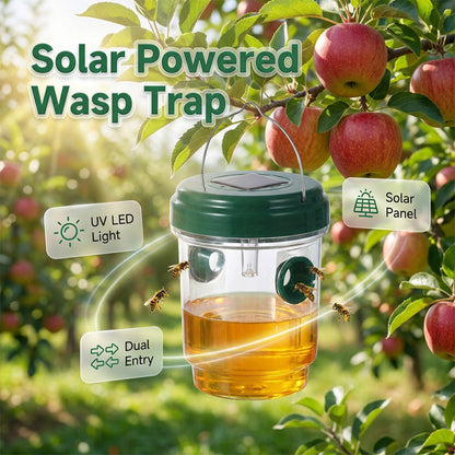 Solar-powered wasp trap with LED attraction | Karnz