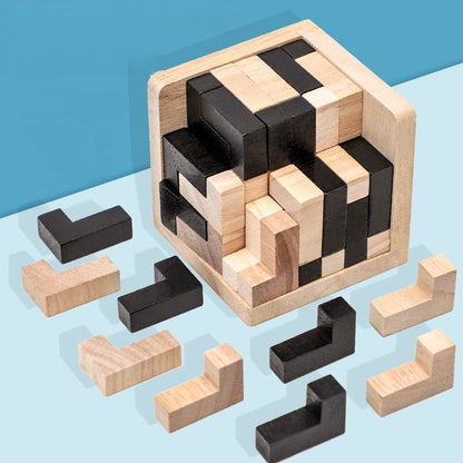 Wooden Brain Teaser Game