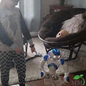 Smart Robot Toy for Kids | ThinkBot Interactive Learning Robot | Gesture Control | Dances and Speaks | Rechargeable
