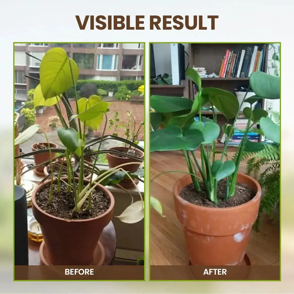 BowLift | 60 g Soil Activator with Minerals for Healthy Plants