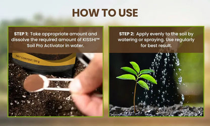 BowLift | 60 g Soil Activator with Minerals for Healthy Plants