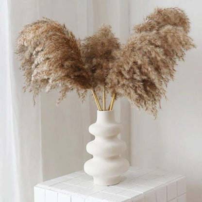 Skanto | 60 cm Natural, Genuine, Brown-Beige Dried Pampas Grass Bouquet │ Fluffy Feathers for Modern Boho Home Decor