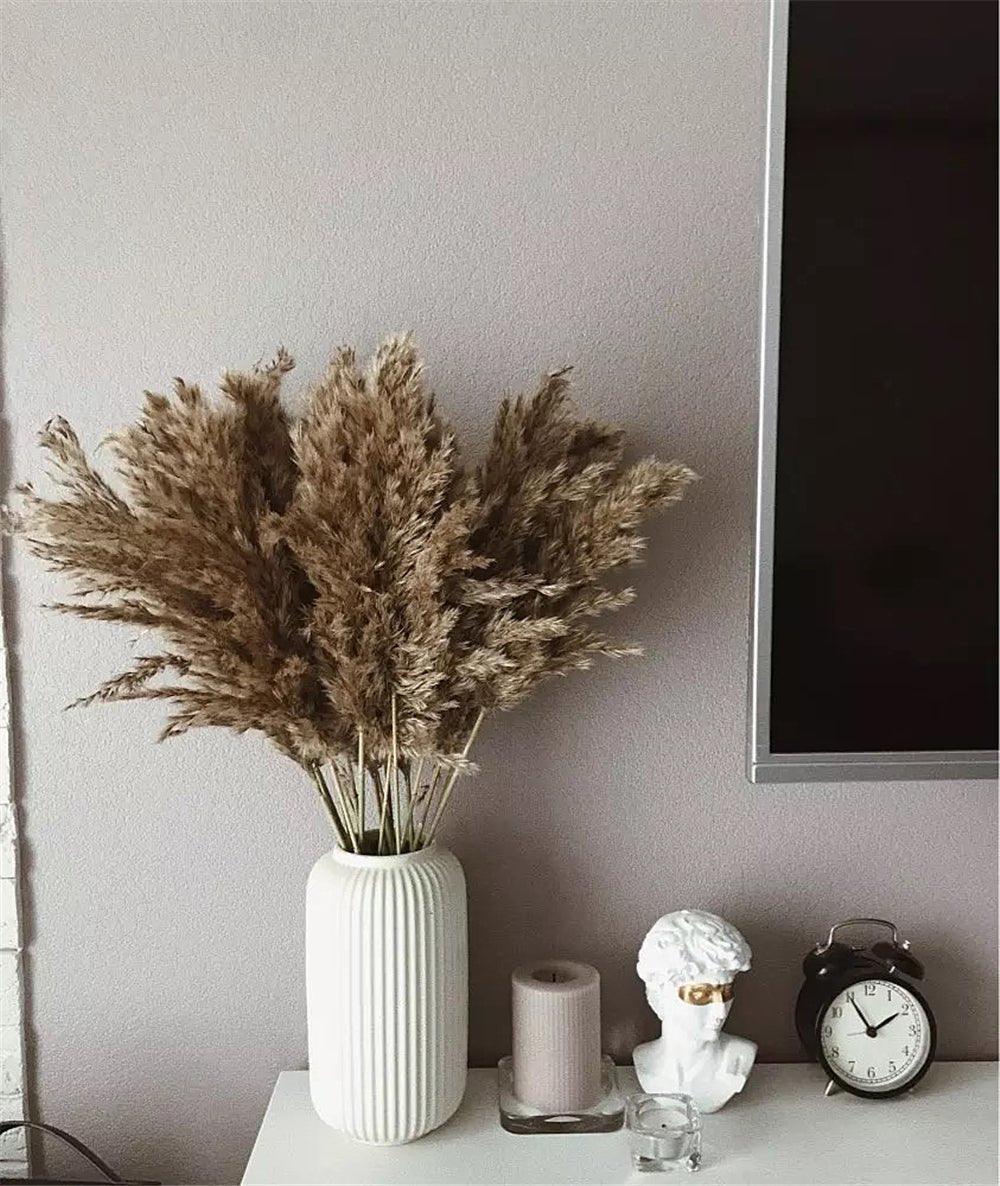 Skanto | 60 cm Natural, Genuine, Brown-Beige Dried Pampas Grass Bouquet │ Fluffy Feathers for Modern Boho Home Decor