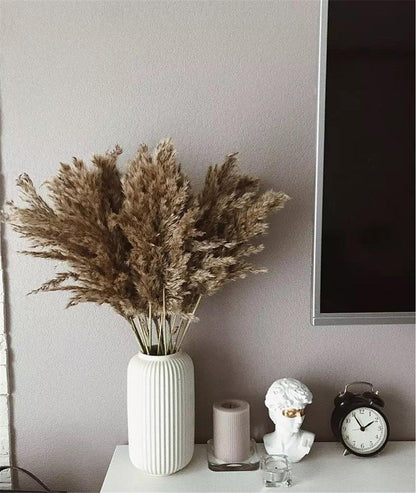 Skanto | 60 cm Natural, Genuine, Brown-Beige Dried Pampas Grass Bouquet │ Fluffy Feathers for Modern Boho Home Decor