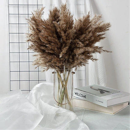 Skanto | 60 cm Natural, Genuine, Brown-Beige Dried Pampas Grass Bouquet │ Fluffy Feathers for Modern Boho Home Decor