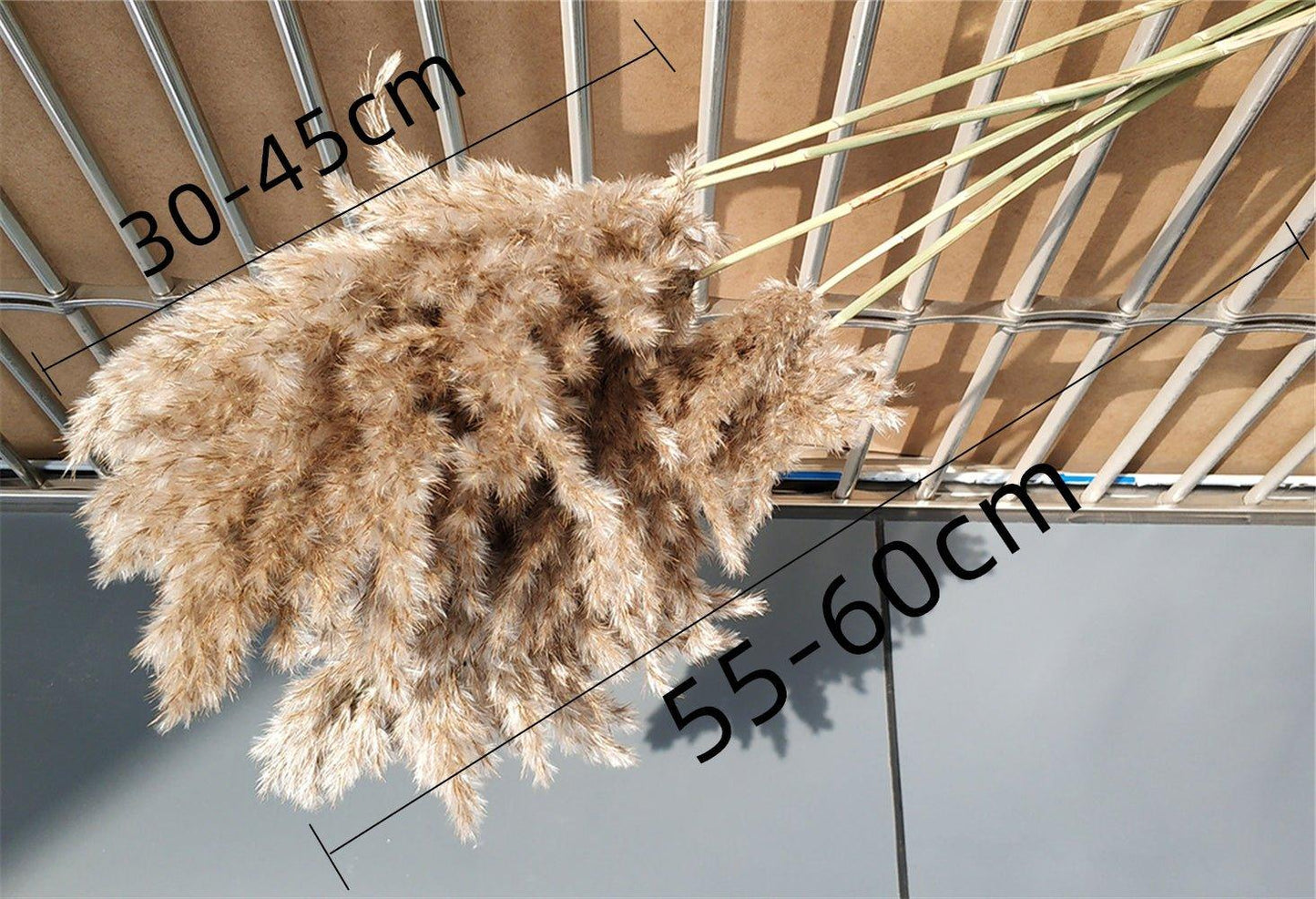 Skanto | 60 cm Natural, Genuine, Brown-Beige Dried Pampas Grass Bouquet │ Fluffy Feathers for Modern Boho Home Decor