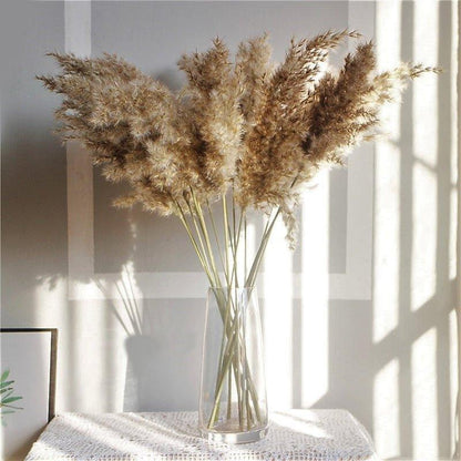 Skanto | 60 cm Natural, Genuine, Brown-Beige Dried Pampas Grass Bouquet │ Fluffy Feathers for Modern Boho Home Decor