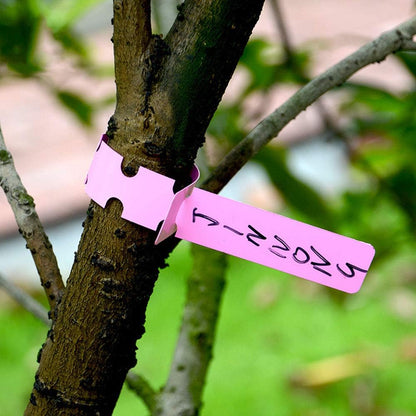 Skanto | Reusable Plastic Plant Labels for Garden and Tree Tagging