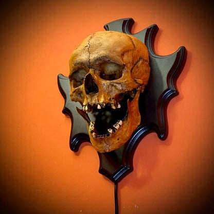 Brehn | Eternal Darkness Skull Lamp