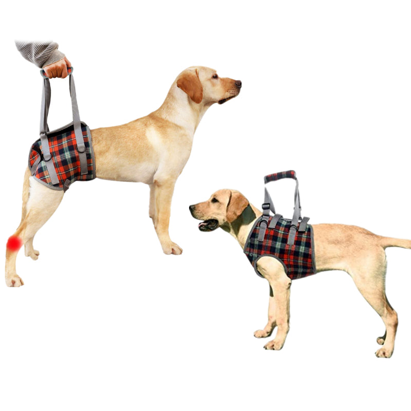 Skanto | Dog Lift Harness with Handle, Pet Recovery Sling