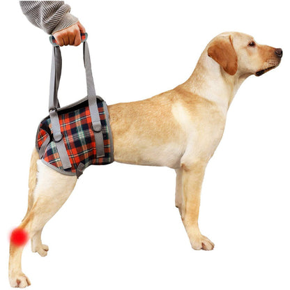 Skanto | Dog Lift Harness with Handle, Pet Recovery Sling