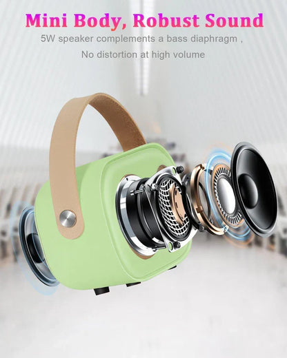 Skanto | Ultimate Karaoke Bluetooth Speaker
