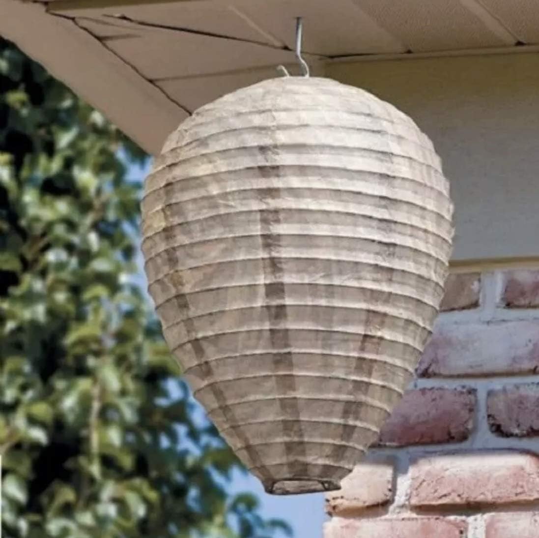 BowLift | Wasp Nest Defense Lamp – Hanging Protection Net Against Wasps and Insects