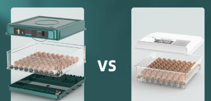 BowLift | Digital Egg Incubator with Adjustable Tray