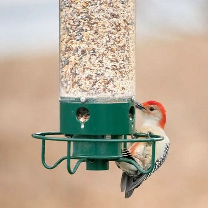 BowLift | Squirrel-Proof Bird Feeder – 5lb Seed Tube with 4 Ports