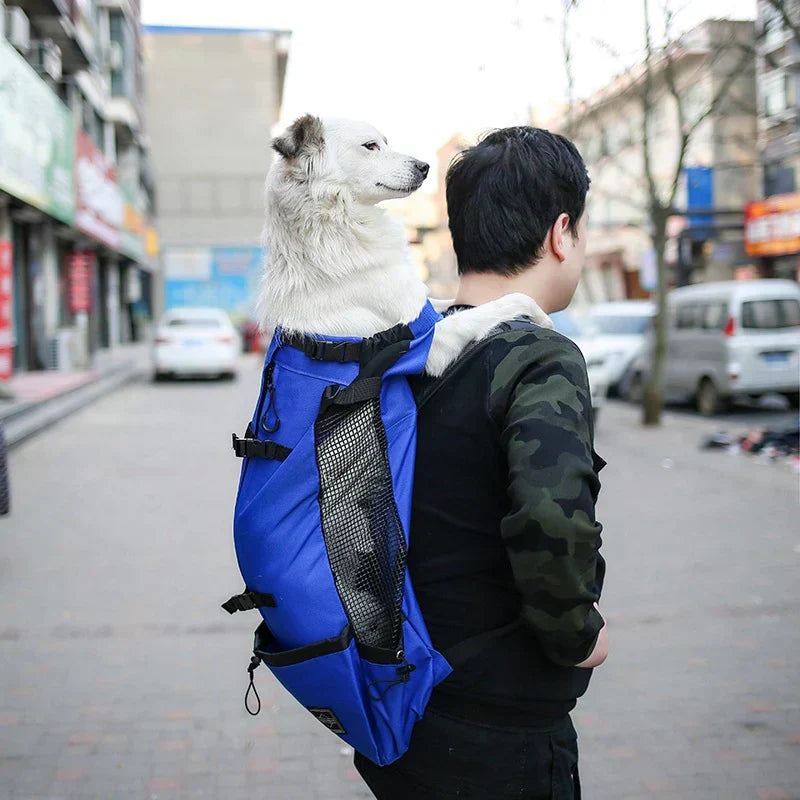 Skanto | Multifunctional Dog Backpack