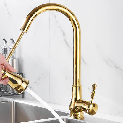 Brushed Gold Kitchen Faucet High Arc Spout with Pull-Down Sprayer
