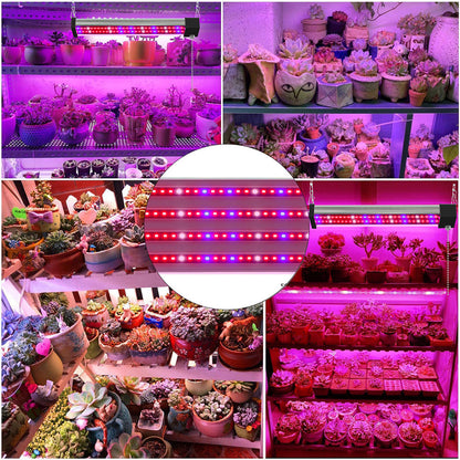 Skanto | LED Grow Light with Full Spectrum Lighting and Pull Switch for Optimal Plant Growth