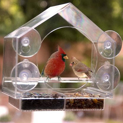 Skanto Skanto | Window Bird Feeder House