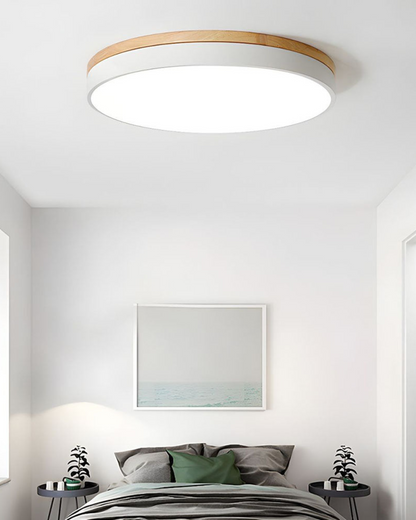 Skanto | Modern Pendant Light with Nature-Inspired Form