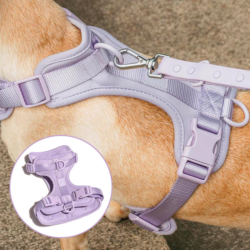Skanto | Adjustable Dog Vest Harness with 3 Leash Clips