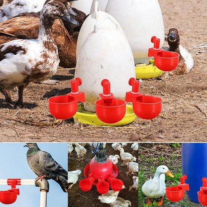 Skanto | Automatic Poultry Drinker