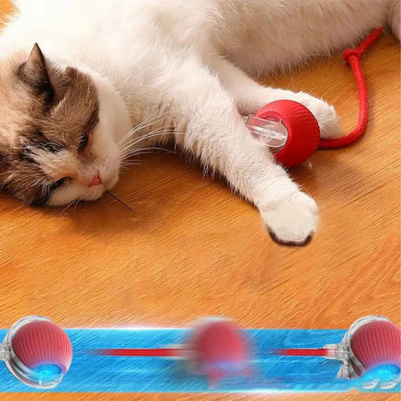 Skanto | Smart Rolling Pet Toy Ball