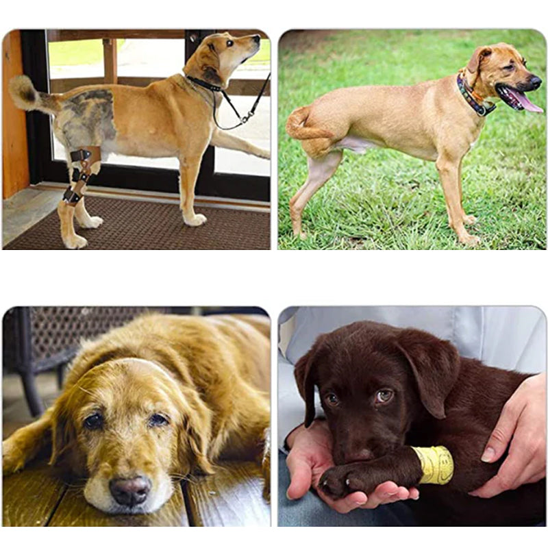 Orthopedic Rear Leg Harness