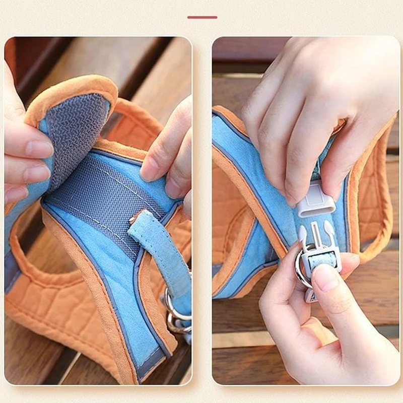 Harness and Leash Set for Cat | Skanto