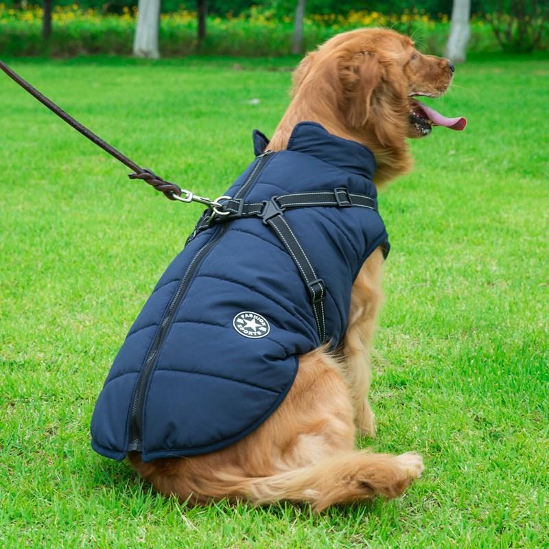 Skanto | Winter Zipper Coat for Dogs