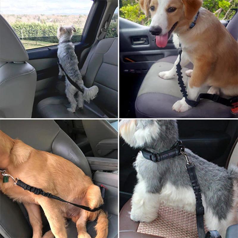 Skanto | Adjustable Dog Seat Belts