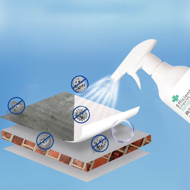 Skanto | High-Efficiency Mold Remover