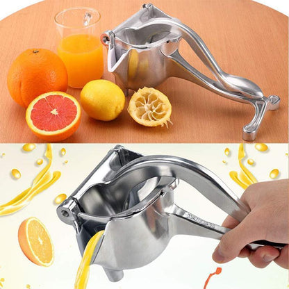 Skanto | Stainless Steel Fruit Juicer