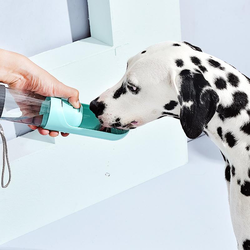 BowLift | Portable Puppy Water Dispenser