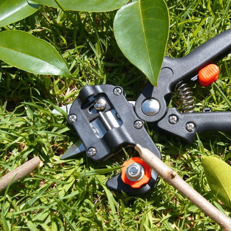 Skanto | Professional Garden Grafting Tool Set