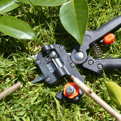 Skanto | Professional Garden Grafting Tool Set