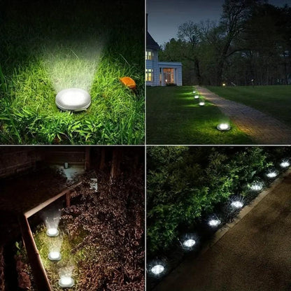 Solar Ground Lights – LED Path Lights for the Garden | Karnz