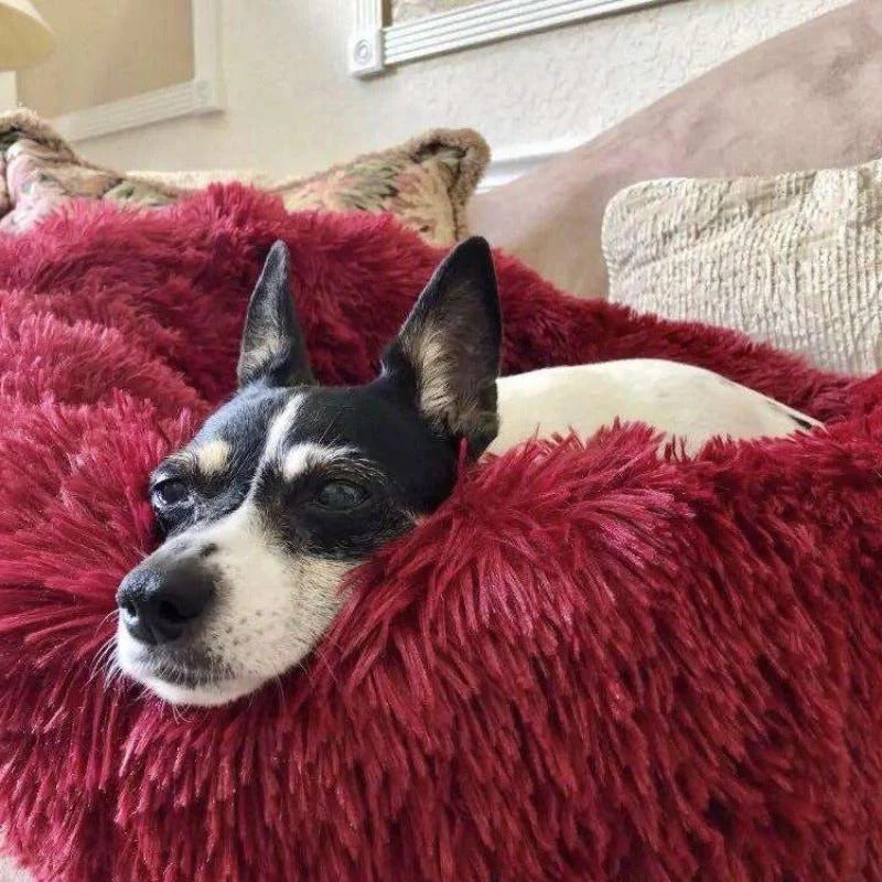 Skanto | Long Plush Donut Pet Bed with Washable Cover and Non-Slip Bottom