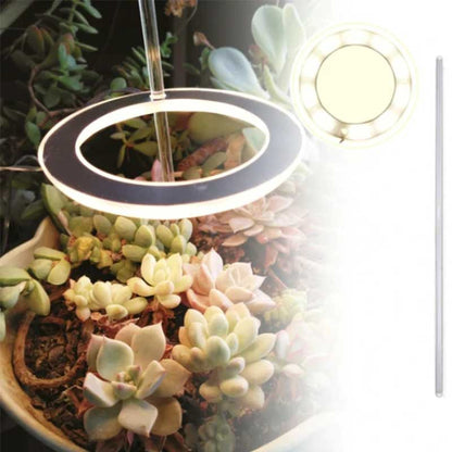 Skanto | Grow Light for Indoor Plants