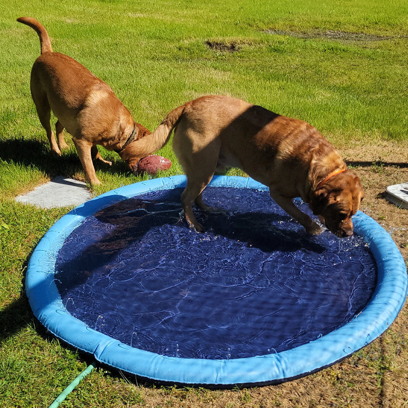 Brehn | Dog Sprinkler Pool 59''x59''