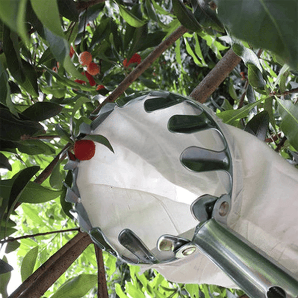 Skanto | Fruit Picker Head Basket