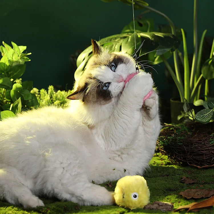 Skanto | Smarter interactive plush ball for cats | Buy 1, Get 1 Free 🎁