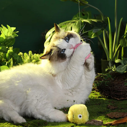 Skanto | Smarter interactive plush ball for cats | Buy 1, Get 1 Free 🎁