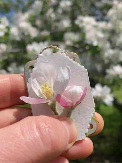 BowLift | Mini Flower Press | Compact Botanical Keepsake Maker | Portable Craft Tool