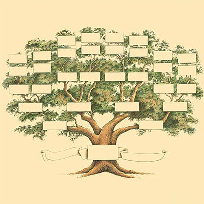 BowLift | Family Tree Genealogy Diagram