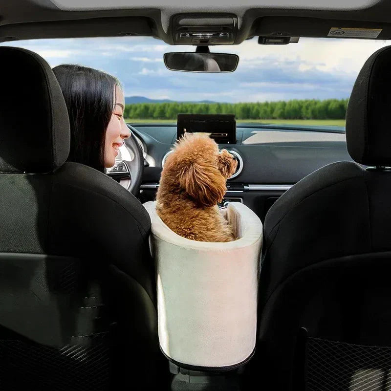 Portable Travel Box for Small Dogs – "DogHaven" Bowlift