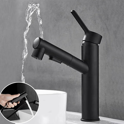 Kitchen Faucet with Swivel Spout, Single Handle Faucet with Pull-Down Sprayer