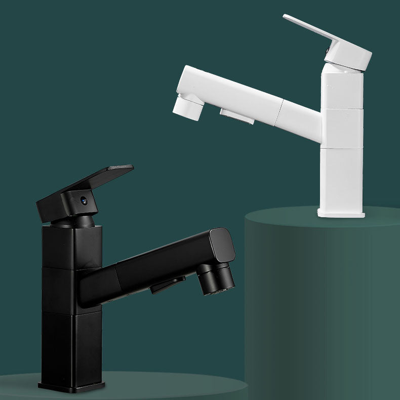 Kitchen Faucet with Swivel Spout, Single Handle Faucet with Pull-Down Sprayer