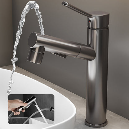 Kitchen Faucet with Swivel Spout, Single Handle Faucet with Pull-Down Sprayer