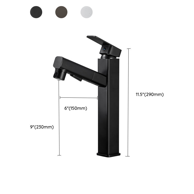 Kitchen Faucet with Swivel Spout, Single Handle Faucet with Pull-Down Sprayer
